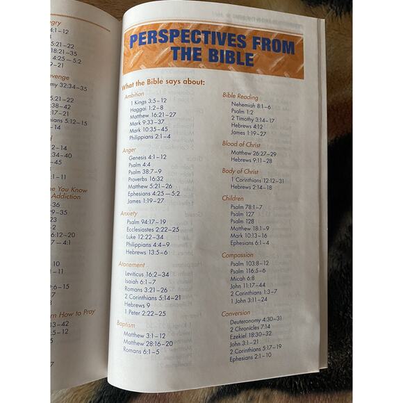 NIV Boys' Bible with studies by Zonderkidz (2011, Hardcover) READ - Picture 9 of 14